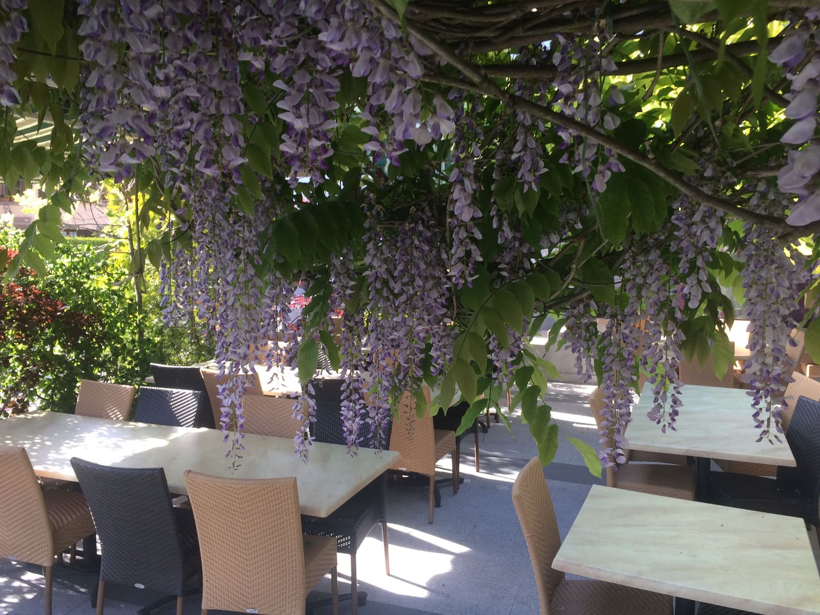 Autour du restaurant